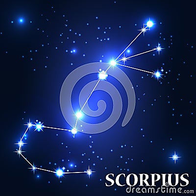 Symbol. Scorpius Zodiac Sign. Vector Illustration Vector Illustration