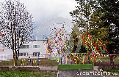 Symbol of the 1st May in Slovakia. Decorated trees with colorful paper`s ribbons. International worker`s day - Labor Day. Editorial Stock Photo
