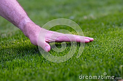 Symbol for taking care of the lawn. Hand feel the height of freshly cut grass. Stock Photo