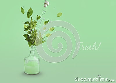 A symbolic image of a mint color, flavor or aroma. Stock Photo