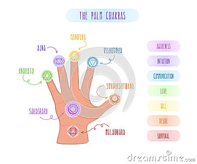 Symbols, names and meaning of the seven chakras and their location on the palm. Vector illustration on white background Vector Illustration