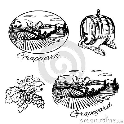 Symbols of vineyard, barrel of wine and grape Vector Illustration