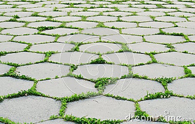 Symmetric concrete brick path Stock Photo