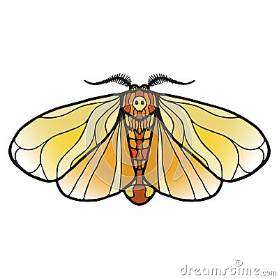Symmetrical Death's Head Hawkmoth, Art Nouveau style, vibrant stained glass Vector Illustration