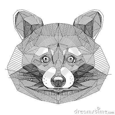 Symmetrical face of a raccoon or bear sketch vector Vector Illustration