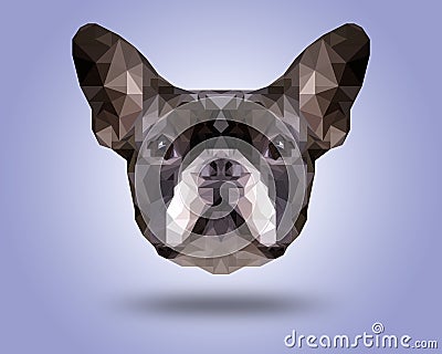 Symmetrical illustration of Boston terrier . Made in low poly triangular style Cartoon Illustration