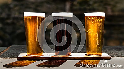 Three Beers in the Sun Stock Photo