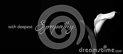 Sympathy card with calla flower isolated on black Stock Photo