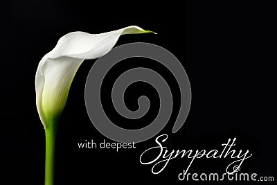Sympathy card with white calla isolated on black Stock Photo
