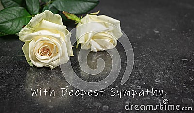 Two white roses on a dark background. With Deepest Sympathy text. Stock Photo