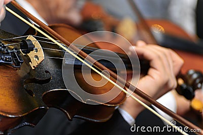Symphony Violin Stock Photo