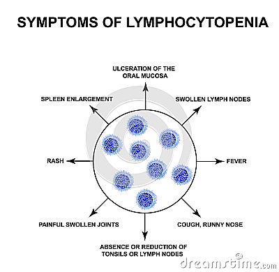 Symptoms of lymphocytopenia. Decreased lymphocytes in the blood. Infographics. Vector illustration on isolated Vector Illustration