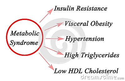 Symptoms of Metabolic Syndrome Stock Photo