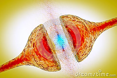 Synapse between two neurons neural synapse receptors neuron link neural network Stock Photo