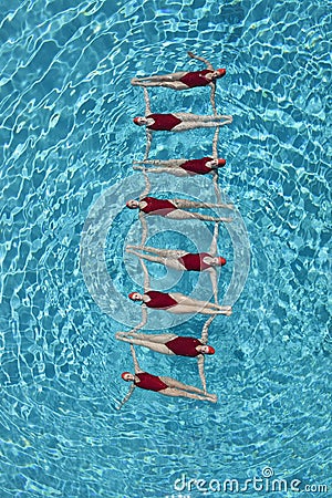 Synchronised Swimmers Forming A Ladder Stock Photo