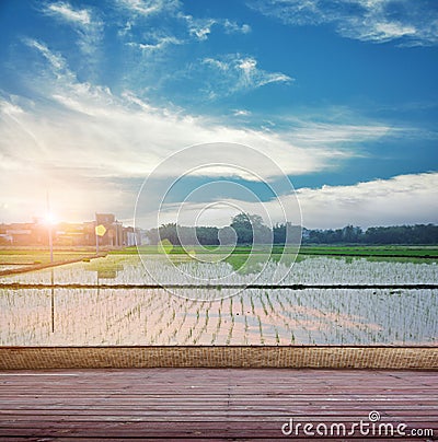 Synthesis of textured wooden planks floor and green field background. Stock Photo