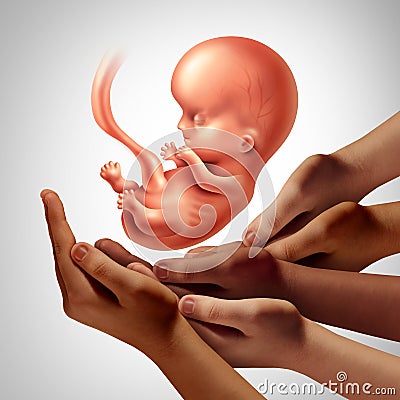 Synthetic Embryo Cartoon Illustration