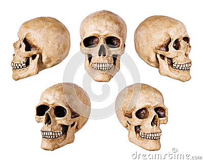 Synthetical skull Stock Photo