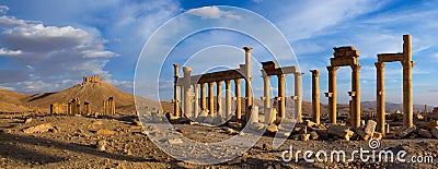 Syria . Palmyra. Stock Photo