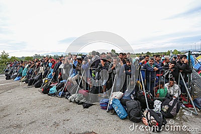 Syrian refugees at slovenian border Editorial Stock Photo