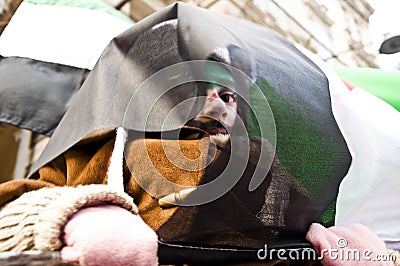 Syrians Protesting Editorial Stock Photo