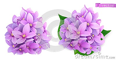 Syringa flowers, lilac. 3d realistic vector icon Vector Illustration