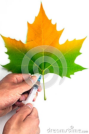 Syringe in hands on a half green leaf Stock Photo