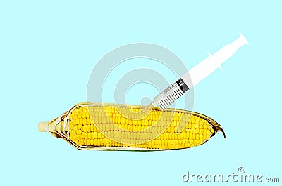 Syringe injecting liquid into corn against Stock Photo