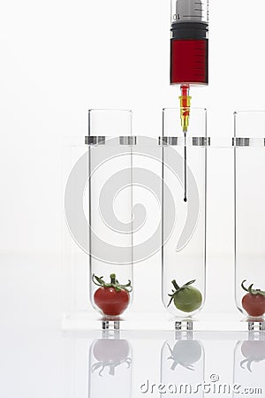 Syringe injecting red and green tomatoes in test tubes Stock Photo