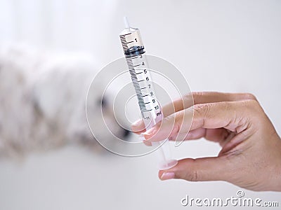 Syringe without needle in hand, Medicine equipment put liquid food for pet Stock Photo