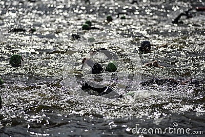 Szczecin, Poland, July 9, 2017: Triathlon Szczecin, Triathletes Editorial Stock Photo