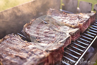 T-Bone steaks on the grill Stock Photo
