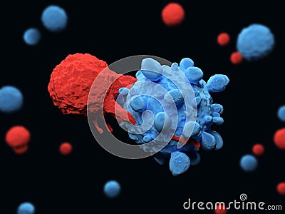 T cell attacks a cancer cell Cartoon Illustration