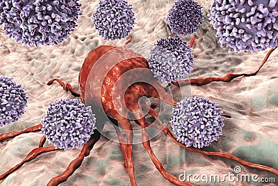 T-lymphocytes attacking cancer cell Cartoon Illustration