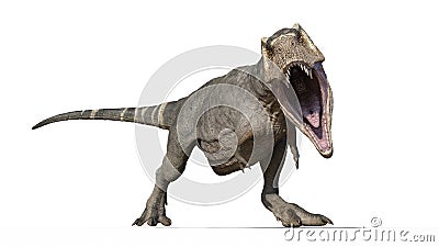 T-Rex Dinosaur, Tyrannosaurus Rex reptile, prehistoric Jurassic animal roaring on white background, front view, 3D rendering Cartoon Illustration