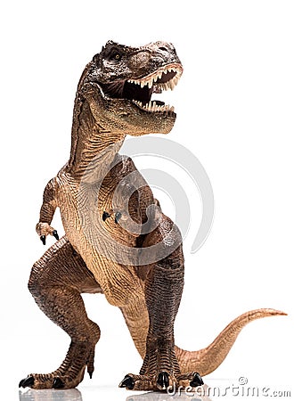 T rex Stock Photo