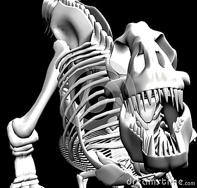 T.rex skeleton Stock Photo