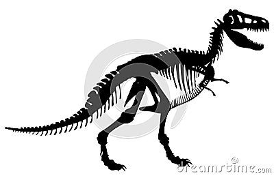 T rex skeleton Vector Illustration