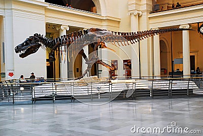 T Rex Sue at the Field Museum, Chicago Editorial Stock Photo