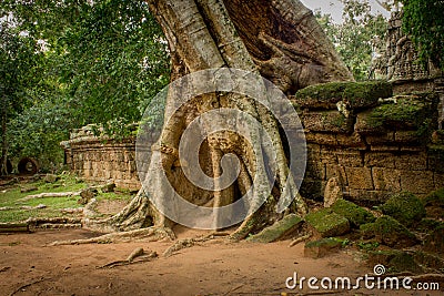 Ta Phrom Ruins Stock Photo