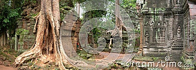 Ta Prohm Stock Photo