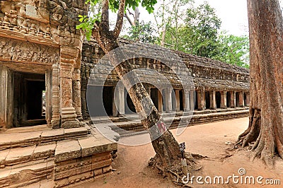 Ta Prohm is the modern name of a temple originally called Rajavihara. East of Angkor Thom Editorial Stock Photo