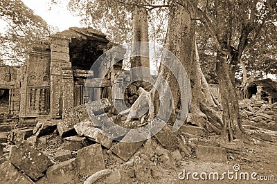 Ta Prohm is the modern name of a temple originally called Rajavihara. East of Angkor Thom Editorial Stock Photo