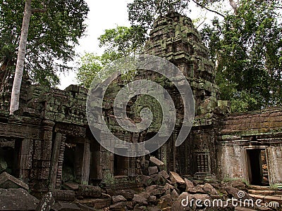 Ta Prohm, Siem Reap Stock Photo