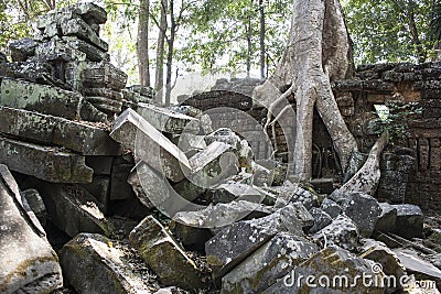 Ta Prohm. Siem Reap. Cambodia Stock Photo