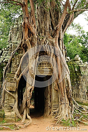 Ta Prohm temple Stock Photo