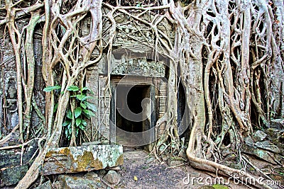 Ta Prohm Temple, Temples of Angkor, Cambodia Stock Photo