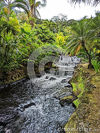 Tabacon hot springs in Costa Rica Stock Photo