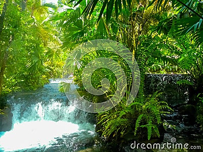 Tabacon Hot Springs River at Arenal Volcano Stock Photo