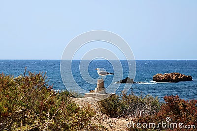 Tabarca Island, Alicante, Spanish coast Stock Photo